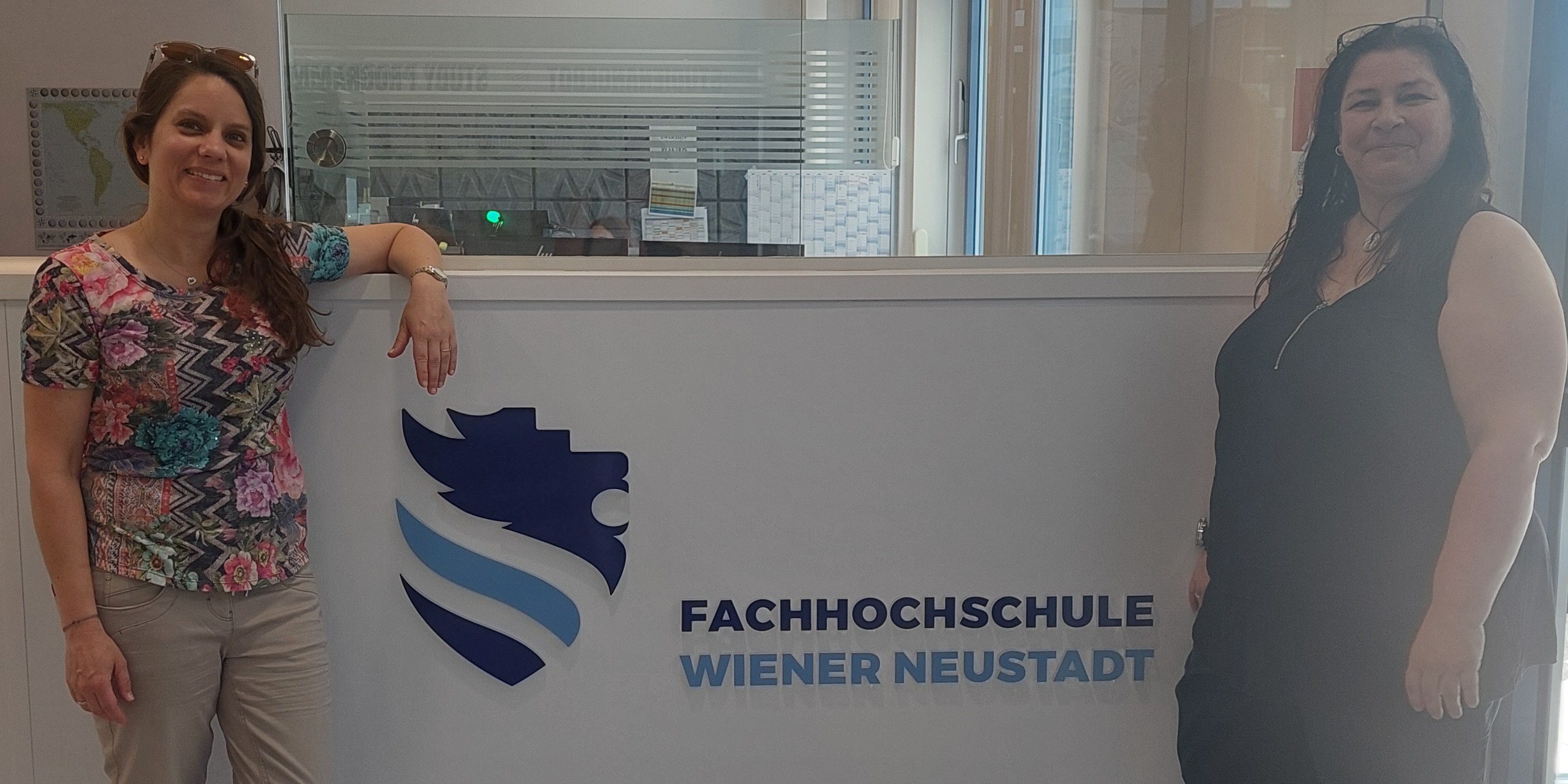 Vorstellung des Berufsverbandes an der FH Wiener Neustadt
